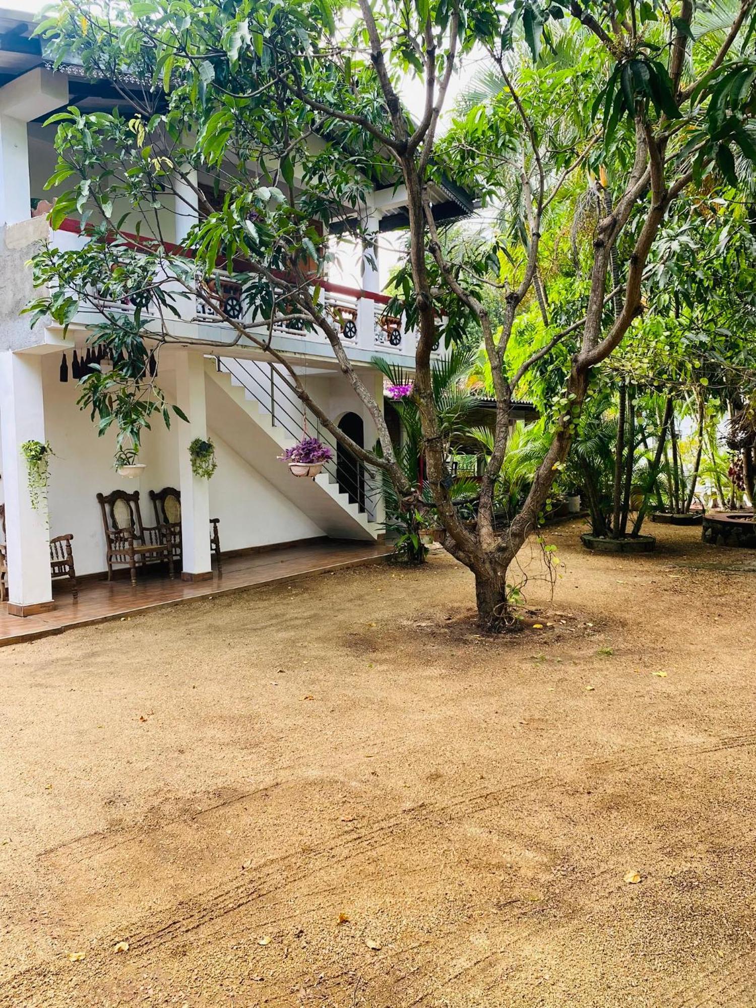 The Green Garden Dambulla Exterior foto