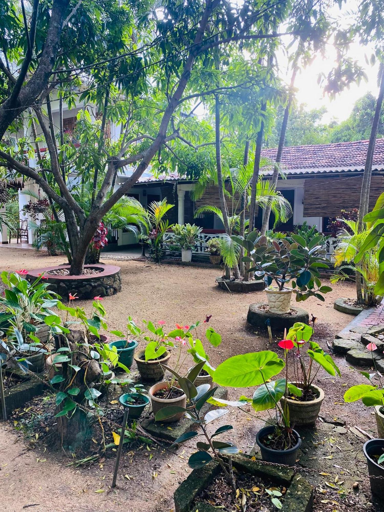 The Green Garden Dambulla Exterior foto