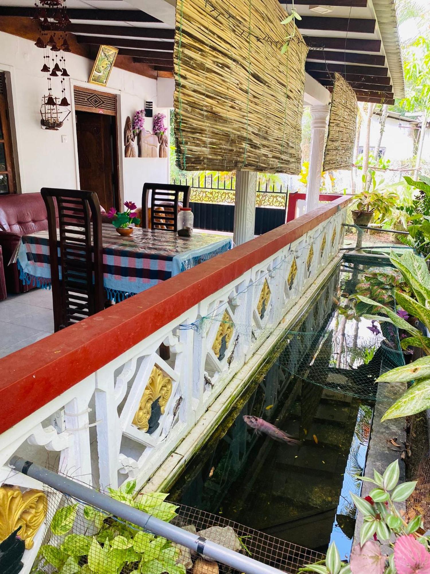 The Green Garden Dambulla Exterior foto